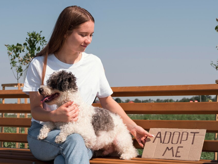 Adopting a Pet - PawrPose